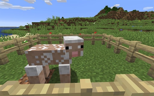 How to Tame a Sheep in Minecraft - Gaming Queries